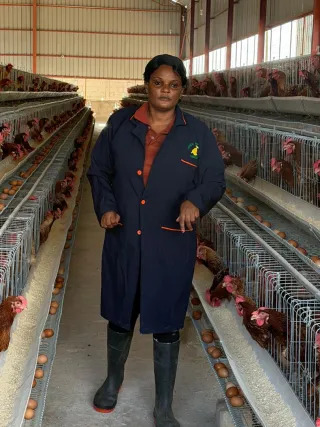A team member in the aisle of our cage layer house