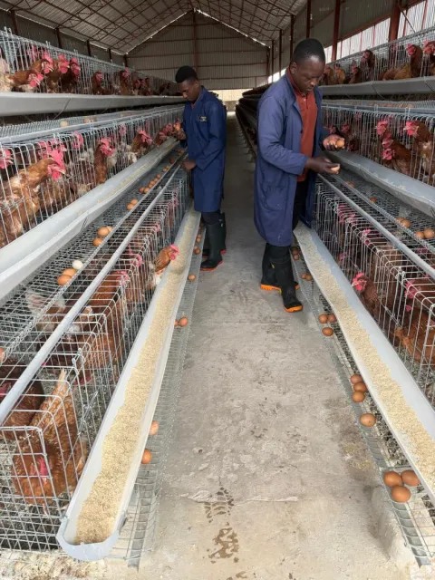 Two team members walking the layer house aisle