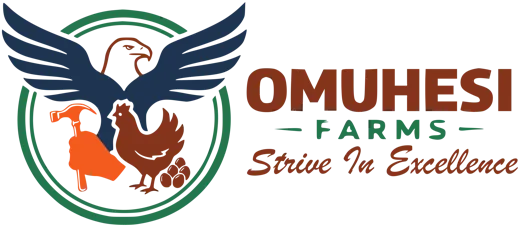 OMUHESI FARMS, Strive In Excellence